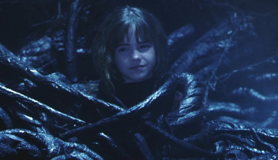 In Harry Potter and Sorcerers Stone, Harry, Ron, and Hermione encountered Devil’s Snare. Harry and Ron didn’t know what to do, but since Hermione had read about Devil’s Snare, she knew what to do and saved Ron and Harry from getting stuck in it.
