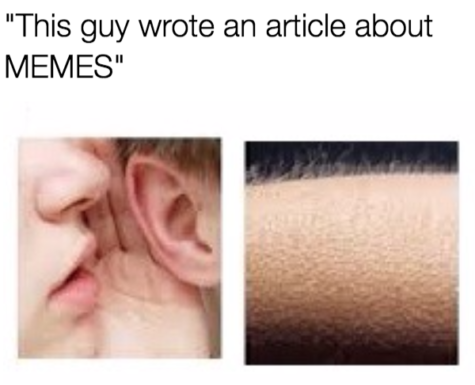 Memes: Heaven’s alternative or hell?