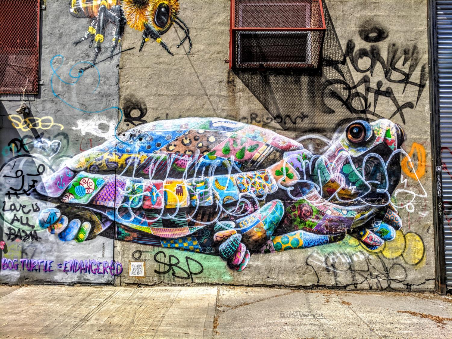 Graffiti: The urban side of art – The iNews Network