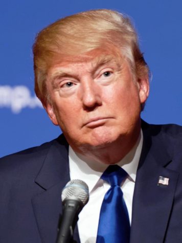 The Trump impeachment inquiry