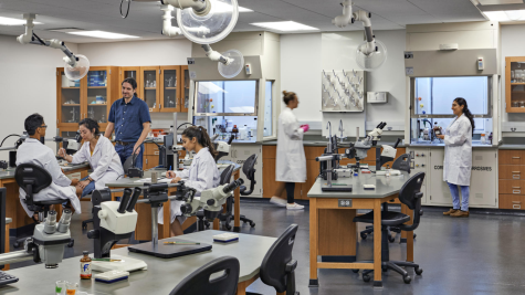 A picture of students studying in a computer lab. 