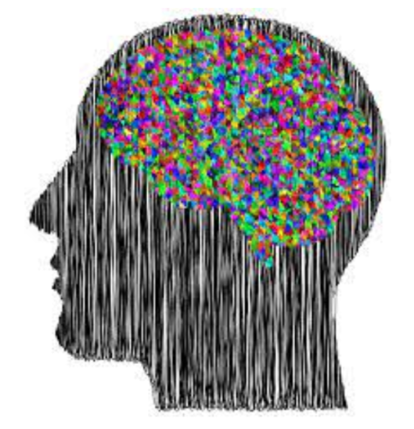 https://openclipart.org/detail/299885/sketched-man-brain-silhouette-prismatic 