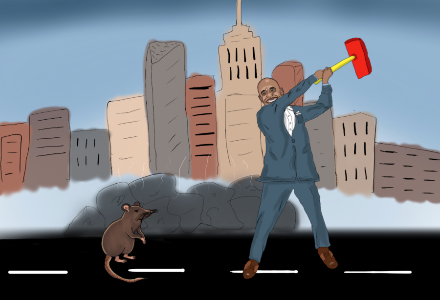 The issue of rats in New York City