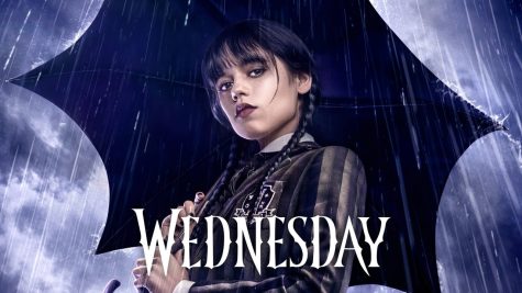 Why did fans love Wednesday so much?