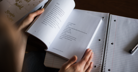 Person's hands holding a book. 