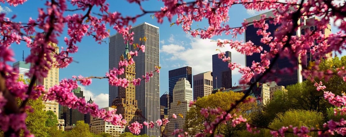 Spring 2025 to-do’s