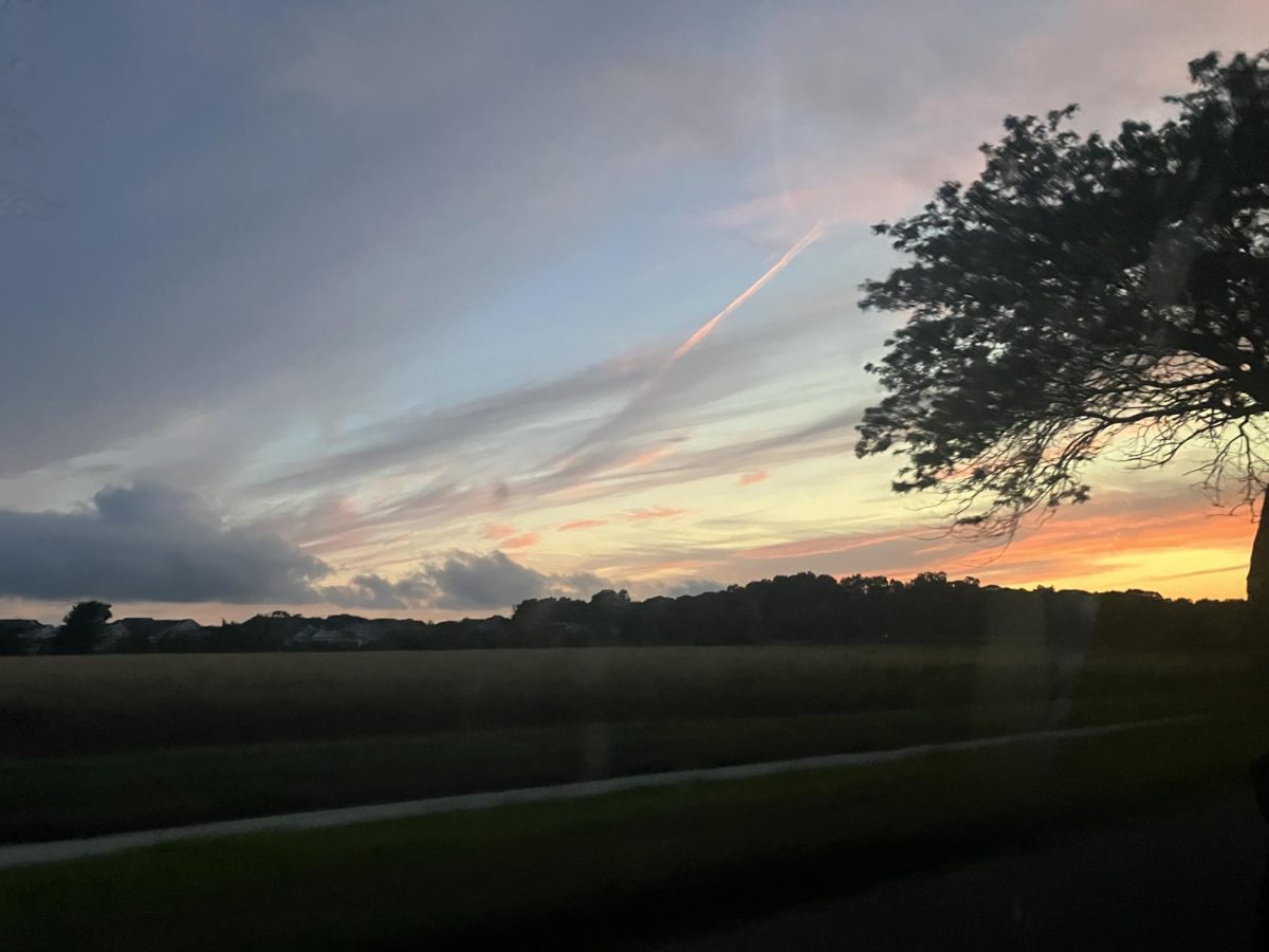 This picture was taken on the trip to my long island house.