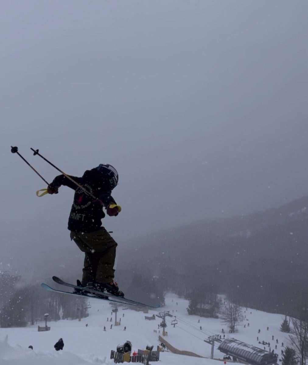 Ski freestyler jumping on their course